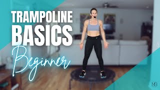 Trampoline Basics 15 MIN Rebounder Workout  Beginner Cardio [upl. by Antonella622]