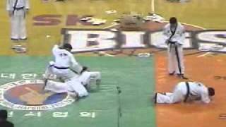 Hapkido korea 2003 [upl. by Thorin]