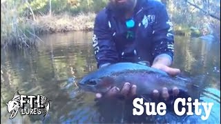 FTL Lures  Exploring Sue City [upl. by Weaver]