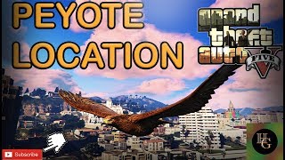 GTA 5 How To Find Peyote Plant Location 2727 Fort Zancudo [upl. by Adnor]