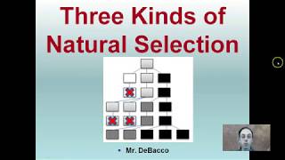 Three Kinds of Natural Selection [upl. by Eus800]