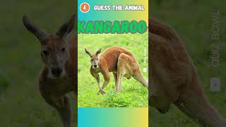 Unscramble the Animals  Can You Guess quiz quizzers [upl. by Arodoet]