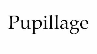 How to Pronounce Pupillage [upl. by Hogg]