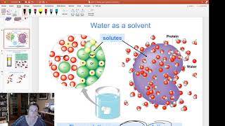 solvent solute solution [upl. by Dodie]