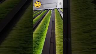 Artificial grass machine by S1V2 [upl. by Roberta]