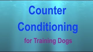 Counter Conditioning a Visual Explanation [upl. by Eadnus]