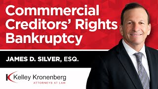 James D Silver  Commercial Creditors Rights Bankruptcy [upl. by Linden]