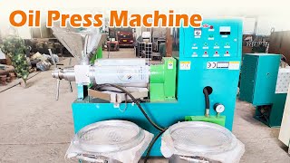 Making Peanut Oil with Our HighQuality Oil Press Machine oilpressmachine [upl. by Nodlehs]