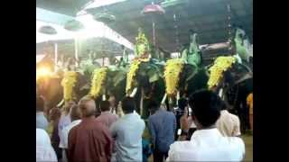 Ettumanoorappan Ettumanoor Mahadeva temple festival 2015 star elephants [upl. by Aratak]