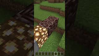 Tuneladora no Minecraft Bedrock Teste 58 [upl. by Cleres]