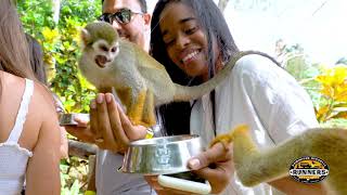 Monkeyland Punta Cana Dominican Republic [upl. by Archaimbaud]