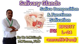 Salivary Glands  Saliva Composition  Salivation  Human Anatomy amp PhysiologyII  BP201T  L24 [upl. by Ingalls]