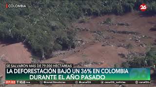 La deforestación bajó un 36 en Colombia durante el año pasado  26Planeta [upl. by Yenor]