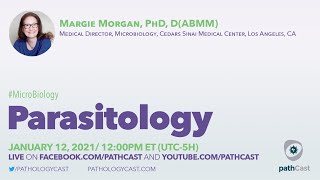 Parasitology  Dr Morgan Cedars Sinai MICROBIOLOGY [upl. by Ariew]