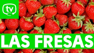 Las propiedades nutricionales de las fresas [upl. by Atilem]