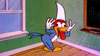 Woody Is The Class Clown  25 Hours of Classic Episodes of Woody Woodpecker [upl. by Boony]