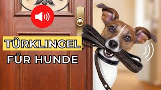 10 Türklingel für Hunde 🔊🐶 geräusche fur hund [upl. by Dunning287]