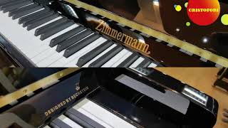 Introducing Zimmermann Piano designed by CBechstein [upl. by Screens238]