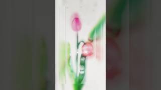 Beautiful bookmark 🔖🌷✨💖tulip flowers watercolor painting InshaArtdrawing shorts bookmark [upl. by Diantha137]