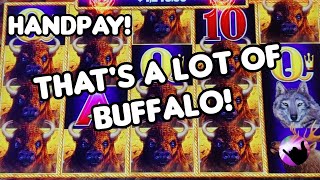 Thats a LOT of Buffalo Handpay on Buffalo Link [upl. by Annissa502]