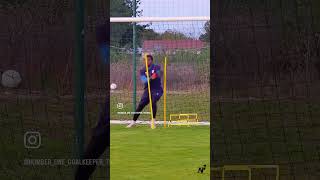 Spécifique Gardien de But PLONGEONS ET TRAVAIL PHYSIQUE GOALKEEPER TRAINING [upl. by Eglantine986]