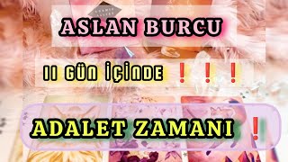 ASLAN BURCU quot 11 GÜN İÇİNDE quot ❗🐬 [upl. by Annoeik]