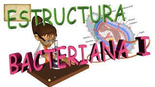 Estructura de una celula bacteriana I [upl. by Ilario]