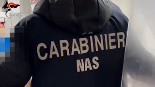 Dieci tonnellate di cibo fuori legge il bilancio dei carabinieri del Nas [upl. by Yengac]