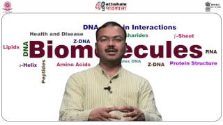 Proteinprotein interactions with examples [upl. by Mosra]