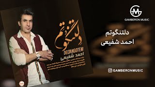 احمد شفیعی دلتنگوتم  Ahmad Shafihi  Deltangotem [upl. by Attegroeg]