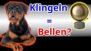 Deinem Hund das Bellen beim Klingeln abgewöhnen Anleitung [upl. by Ruff]