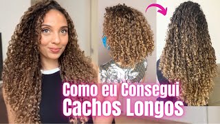 Meu Cabelo NUNCA PASSAVA DOS OMBROS Como foi meu Processo de CRESCIMENTO CAPILAR  DICAS [upl. by Anagrom]