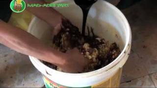 OrganicNatural Farming How to Make Oriental Herbal Nutrients OHN [upl. by Ynnig114]