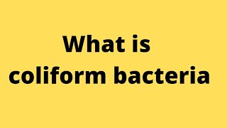 coliform bacteria क्या हैcoliform bacteriacoliform bacteria in Hindicoliform bacteria in water [upl. by Janean]