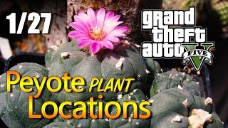 GTA 5  Peyote Plant Locations 0127 [upl. by Enitsuj]