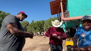 Chikilin el grande de Sinaloa visitó a Mariskero y lo recibe con estos ostiones frescos [upl. by Telrahc659]