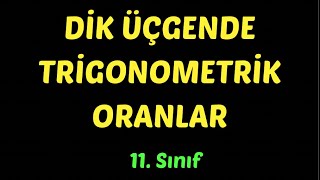 Dik Üçgende Trigonometrik Oranlar 11 Sınıf Matematik [upl. by Petie]