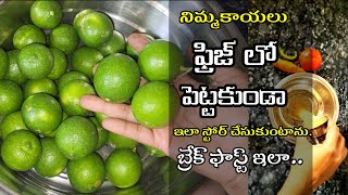 vlogనిమ్మకాయలు ఫ్రిజ్ లో పెట్టకూడదు కాబట్టి నేను ఇలా స్టోర్ చేసుకుంటానుకొర్రలతో బ్రేక్ ఫాస్ట్ ఇలా [upl. by Hill244]