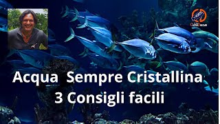 3 consigli per non avere acqua torbida nell’acquario ACQUA LIMPIDA E CRISTALLINA [upl. by Alacim]