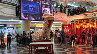 Lion Dance performance Imperial mall Miri Sarawak  Vlog 2024 4K luueejanice acepro [upl. by Alisen]