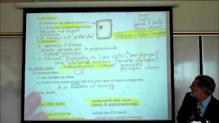 CARBOHYDRATES amp FATTY ACIDS by Professor Fink [upl. by Erde]