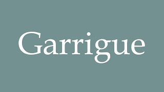 How to Pronounce Garrigue Correctly in French [upl. by Ednil82]