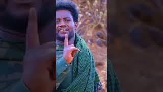 Habte abreham habesha ethiopian dance amharic duet ethiopianzena ethiopianews music ethiop [upl. by Orwin]