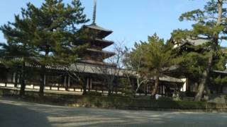 奈良 法隆寺 Horyuji Temple [upl. by Nohsreg]