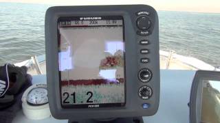 Furuno FCV585 depth finder marking bait [upl. by Sulihpoeht60]