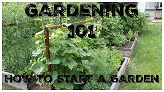 Gardening 101 How To Start A Garden [upl. by Stronski]