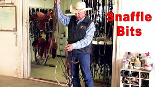 Types Of Snaffle Bits For Training Horses [upl. by Mahalia974]