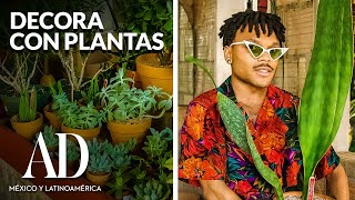 Decora tu hogar con plantas  Todo sobre plantas  AD México y Latinoamérica [upl. by Richardson]