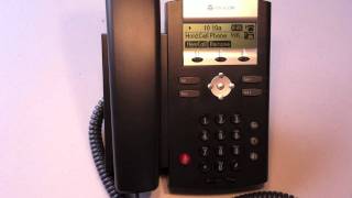 PolyCom 2 Line Phone  Placing A Call on Hold [upl. by Daisie]