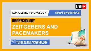 AQA ALevel Psychology  Study Livestream  Biopsychology  Zeitgebers and Pacemakers [upl. by Eciral365]